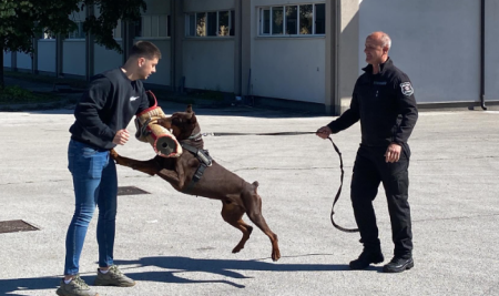 Praktična nastava u Sector Security